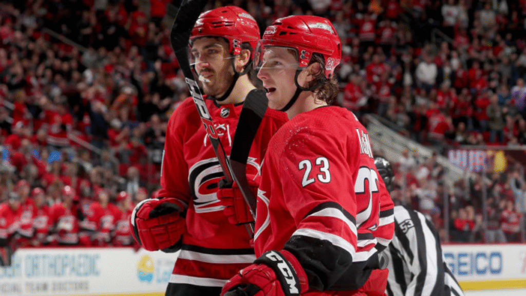 Ball Arena hockey game